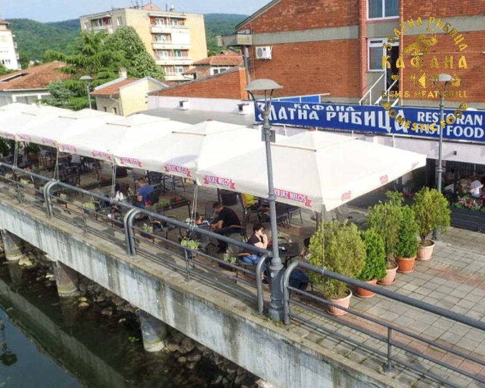 Zlatna Ribica Apartment Golubac Exterior photo