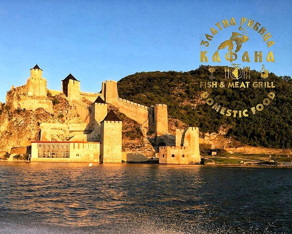 Zlatna Ribica Apartment Golubac Exterior photo