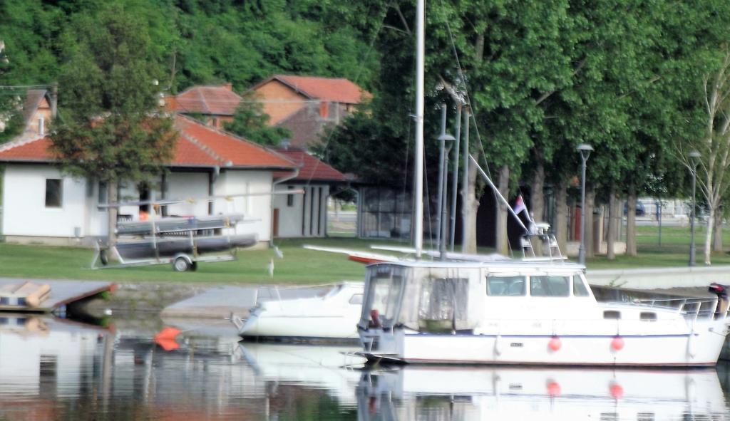 Zlatna Ribica Apartment Golubac Exterior photo